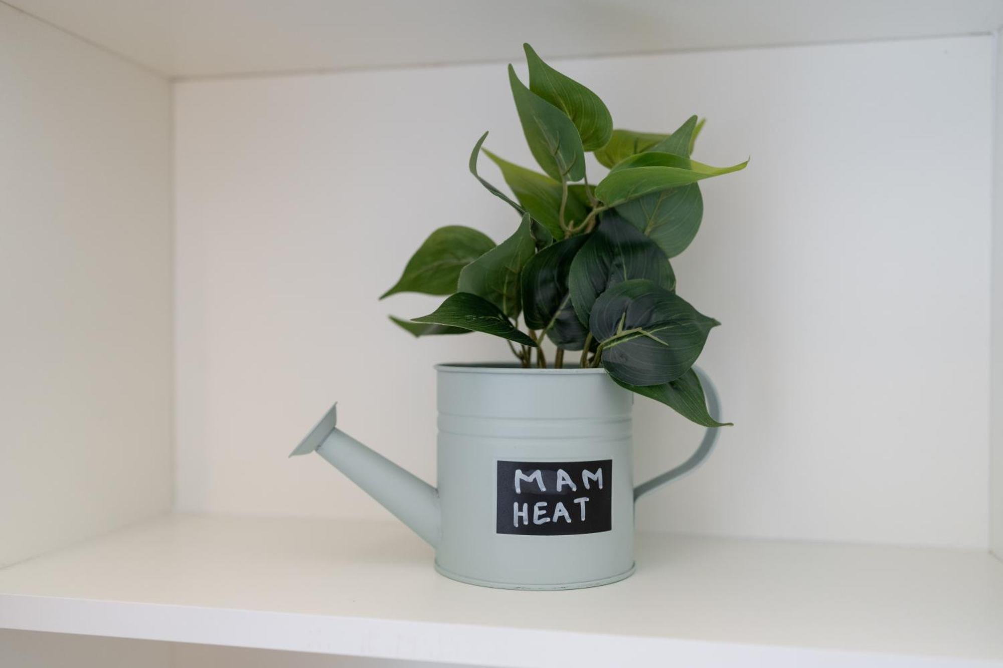 Mam Heat Apartments - Viana City Centre 维亚纳堡 外观 照片